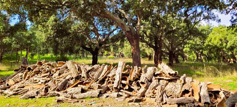 Half-Day Mountain Jeep Safari with firewater tasting - Price value: what you pay for, and what you get back