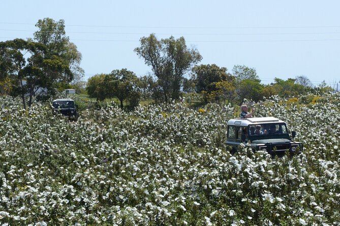 Half-Day Nature Safari in the Algarve - Heading inland fast on 4x4 Land Rovers from Vila Real de Santo António