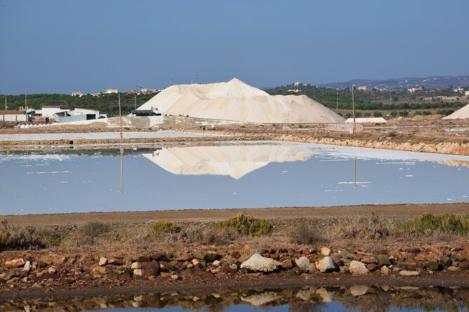 Half-Day Nature Safari in the Algarve - Quinta da Fornalha stop: the short organic tasting that actually makes sense