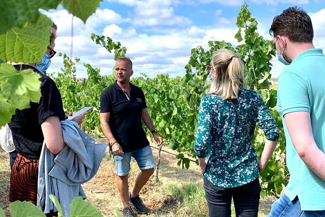 Half Day Safari Tour with Wine Tasting - Timing, pacing, and what to expect in 4 hours