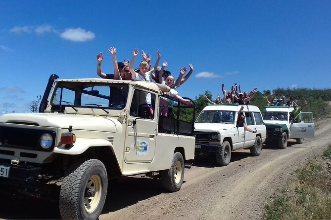 Half Day Safari Tour with Wine Tasting - What’s included versus what you might want to add