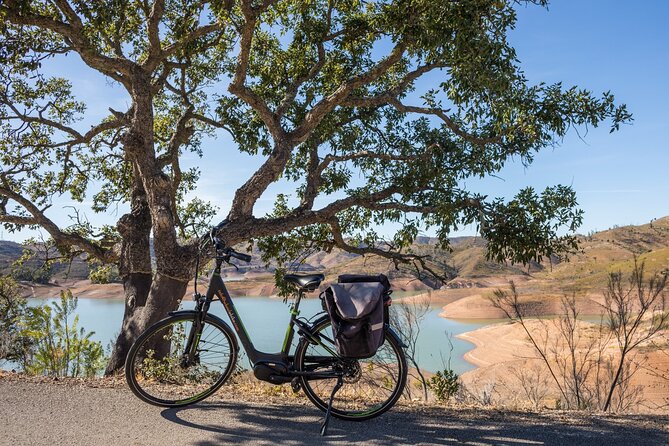 Half-Day Small-Group E-Bike Tour of Rural Algarve with Lunch - Key Things That Make This Tour Worth Your Time