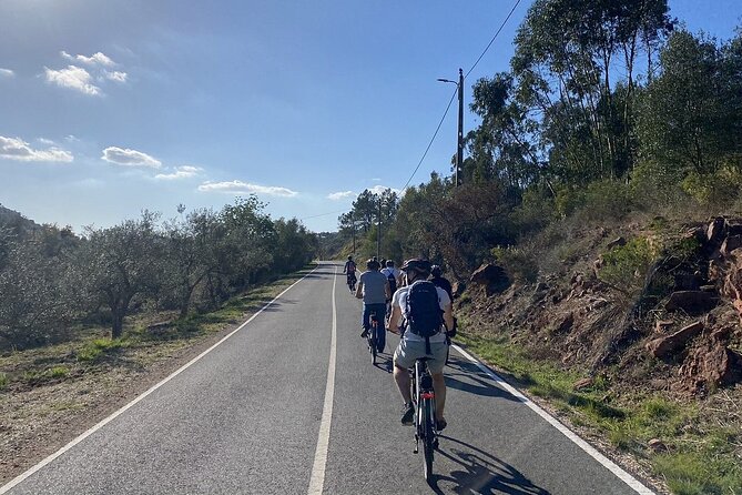 Half-Day Small-Group E-Bike Tour of Rural Algarve with Lunch - Barragem da Ribeira do Arade Lake Stop: A Clean-Water Reset