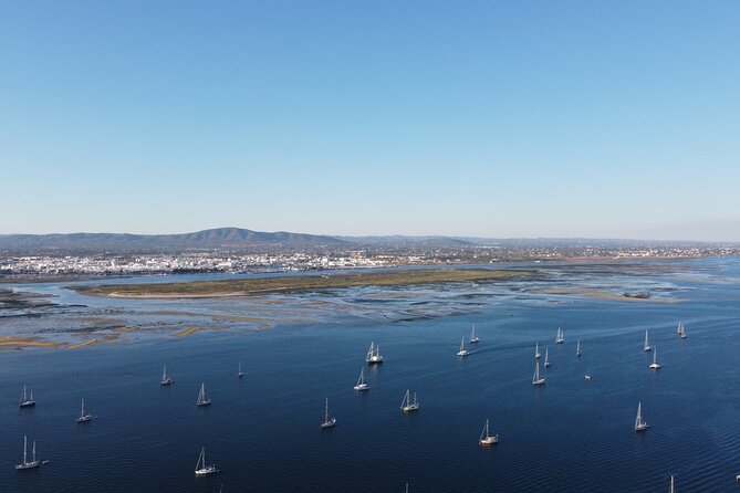 Islands Tour: Half Day Cruise in Ria Formosa Natural Park - Lunch in Cultura with free time: great if you plan it as “your meal,” not “the tour’s meal”