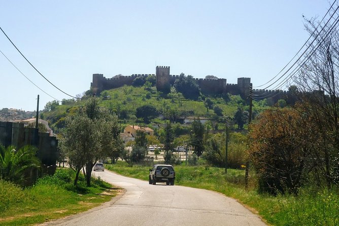 Jeep half day tour of our Algarve coast and mountains - Odelouca terrain: medronho country and Portuguese cork production