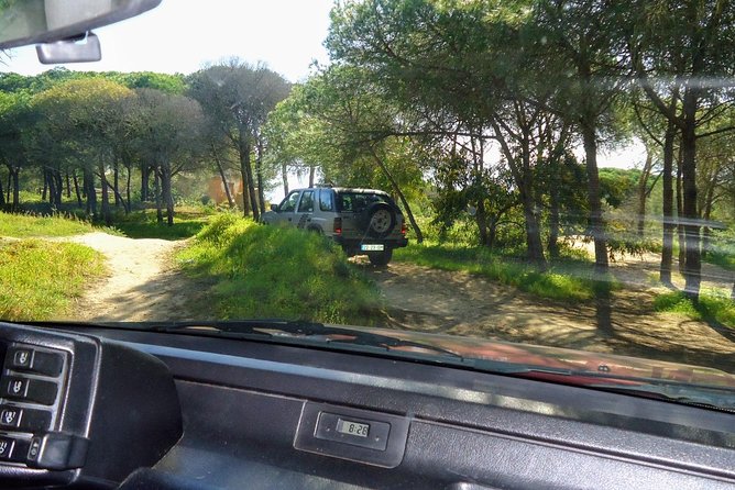 Jeep half day tour of our Algarve coast and mountains - Stop 1 in Alvor: fishing-village life plus the Salva Vidas museum