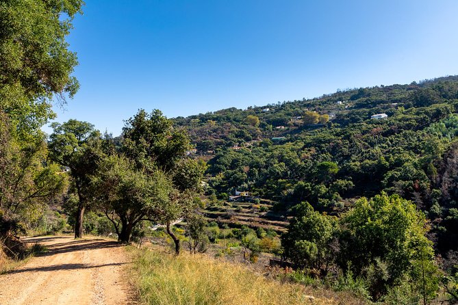 Jeep Safari #1 in Algarve - Off-road comfort tips: what to expect on hills, meadows, and tracks