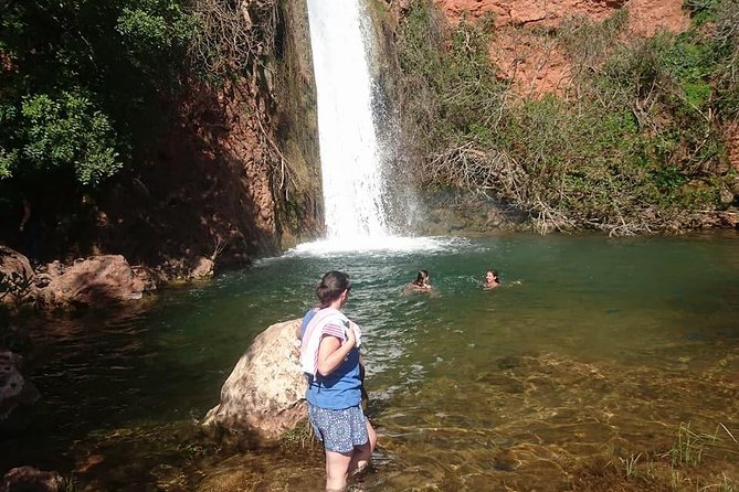 Jeep Safari Tour - Full Day - Tastings that turn a scenic day into a food day