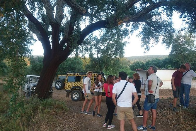 Jeep Safari Tour - Full Day - Lunch: what’s included, what costs extra, and how to handle it
