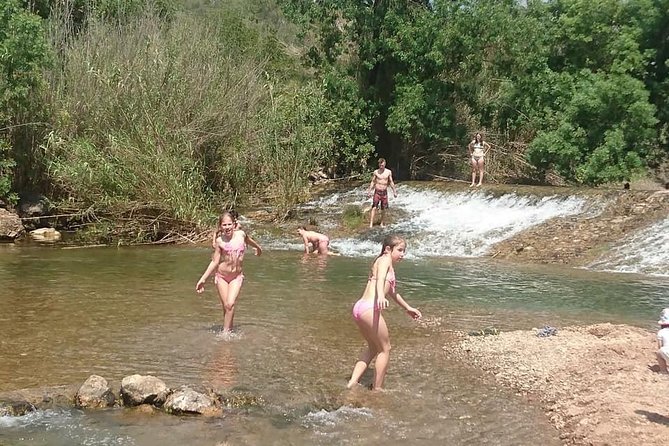Jeep Safari Tour - Half Day - The Best Parts: Liquor Tasting, Springs, and Local Farm Stops