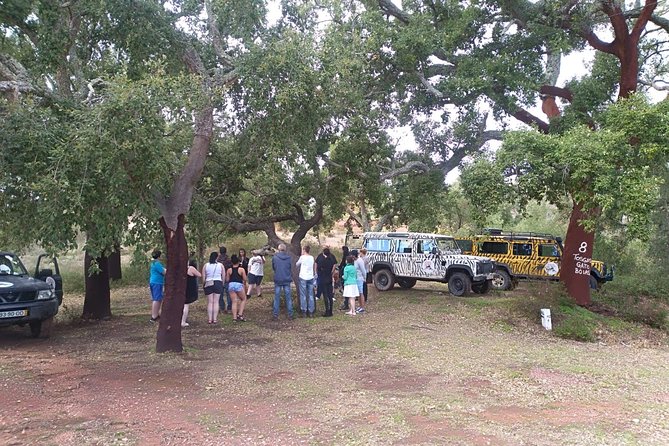 Jeep Safari Tour - Half Day - Who Should Book This Albufeira Jeep Safari?