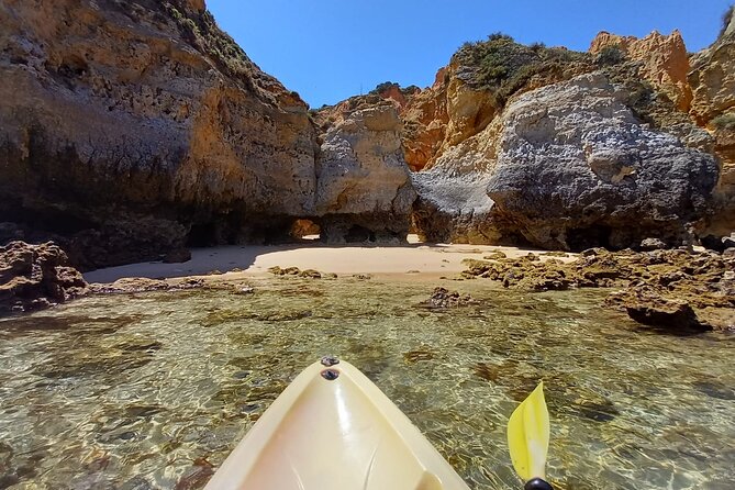 Kayak Adventure through the Ponta da Piedade Caves in Lagos - Group size, guides, and why the vibe feels different