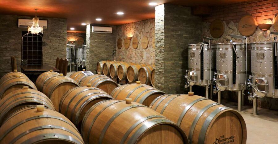 Lagoa: Guided Winery Tour and Local Wine Tasting - Key takeaways before you go