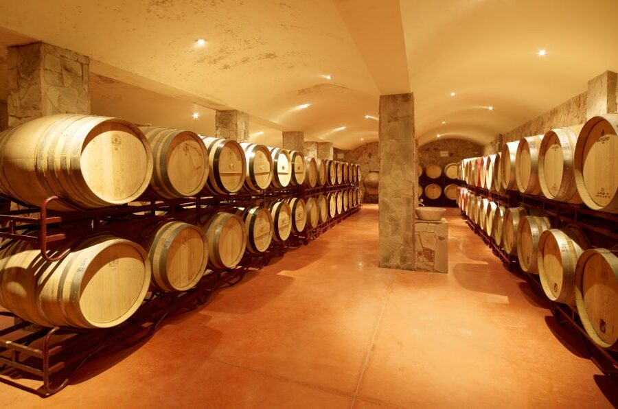 Lagoa: Guided Winery Tour and Local Wine Tasting - Quinta dos Vales, where art and wine share the same walk