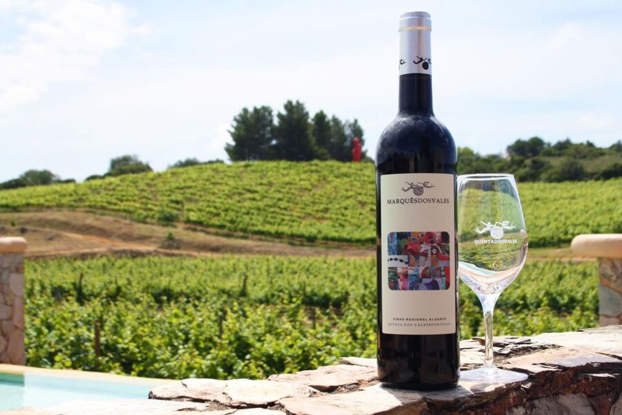 Lagoa: Guided Winery Tour and Local Wine Tasting - The tasting setup: bread and olive oil with your Algarve wines