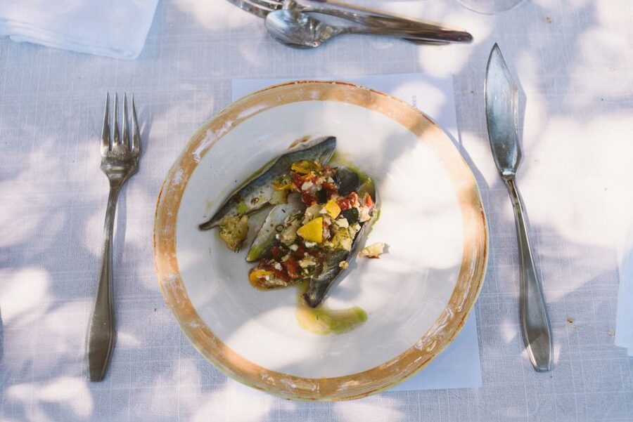 Lagoa: Morgado do Quintão Estate Lunch and Wine Tasting - Key highlights you should know before you go