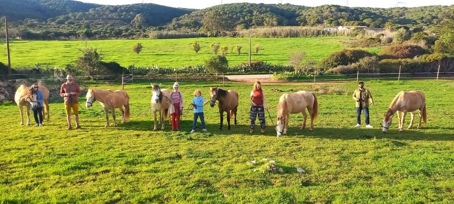 Lagos: A walk with a rescued horse at the sanctuary - Safety first, then a calm introduction to the horses