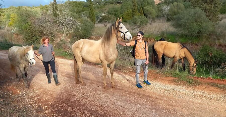 Lagos: A walk with a rescued horse at the sanctuary - The two-hour timing and how the flow works