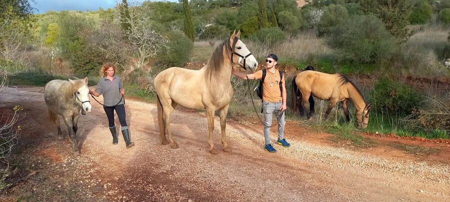 Lagos: A walk with a rescued horse at the sanctuary - The meeting point at the field, gate, and 200 meters