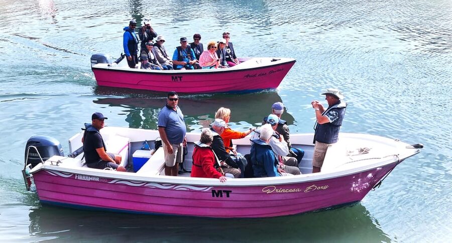 Lagos-Algarve: Grotto Trip - Boat Trip Late afternoon - Ponta da Piedade grottos: what the cruise is actually doing