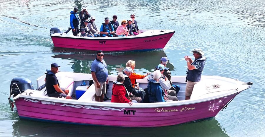 Lagos-Algarve: Grotto Trip - Boat Trip Late afternoon - The captains and the safety basics you get without thinking