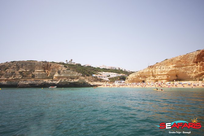 Lagos - Benagil Sea Cave Tour Seafaris - Guides, navigation skill, and the dolphin factor