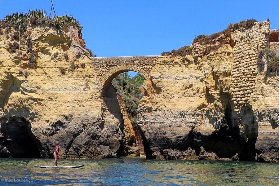 Lagos: Boat tour Ponta da Piedade with local guides - Camilo and Dona Ana beaches, plus marine life near the cliffs
