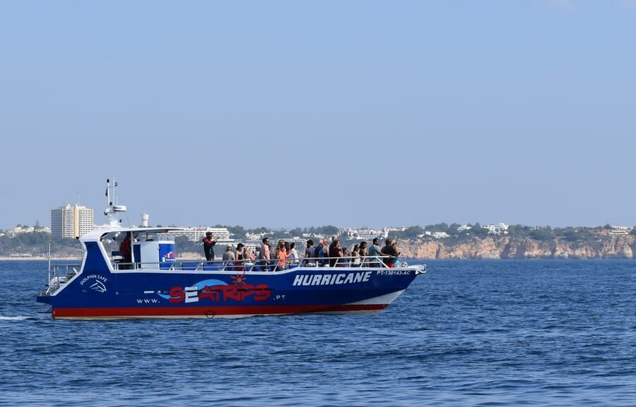 Lagos: Combo Dolphin and Benagil Tour with Marine Biologist - What You See Along the Algarve Coast Between Dolphin and Cave
