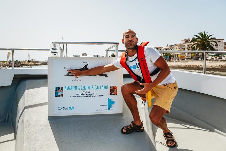 Lagos: Dolphin Watch Tour with Professional Marine Biologist - Where the tour starts in Lagos, and how to avoid the first-time stress