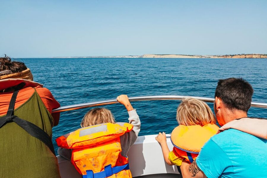 Lagos: Dolphin Watch Tour with Professional Marine Biologist - When dolphins appear: why this tour focuses on pods, not just one sighting