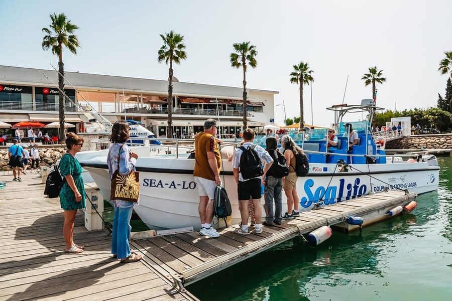 Lagos: Dolphin Watch Tour with Professional Marine Biologist - The marine biologist part: the facts you can use during and after the ride