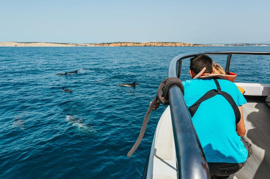 Lagos: Dolphin Watch Tour with Professional Marine Biologist - The coast time: why the route matters even when wildlife gets elusive