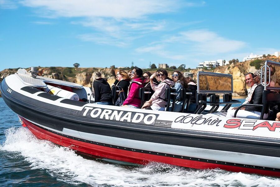 Lagos: Dolphin Watching with Professional Marine Biologists - Price in Lagos: value for a 1.5-hour dolphin mission