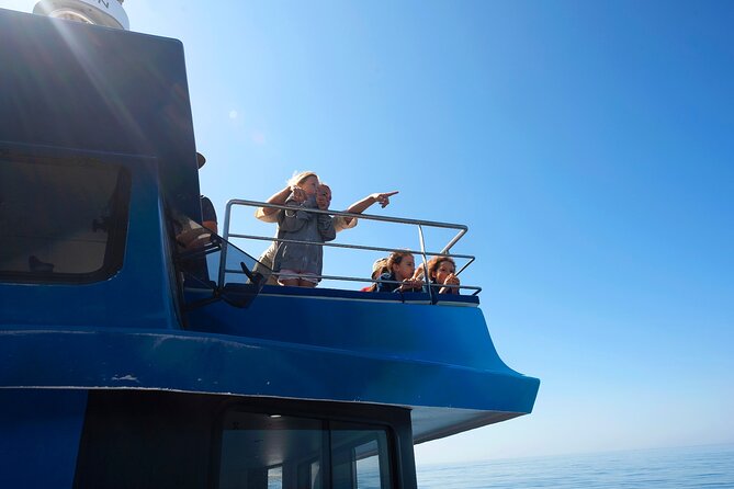 Lagos: Dolphins & Benagil Caves – Catamaran - Cruising Ponta da Piedade: cliffs and caves you can actually see