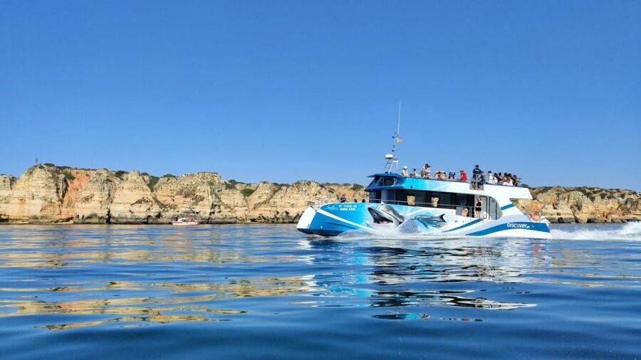 Lagos: Dolphins & Caves - Catamaran - Key highlights to look for