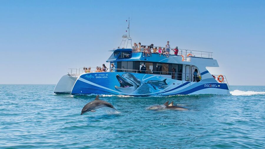 Lagos: Dolphins & Caves - Catamaran - Lagos Dolphins, Caves, and a Catamaran That Feels Built for Fun