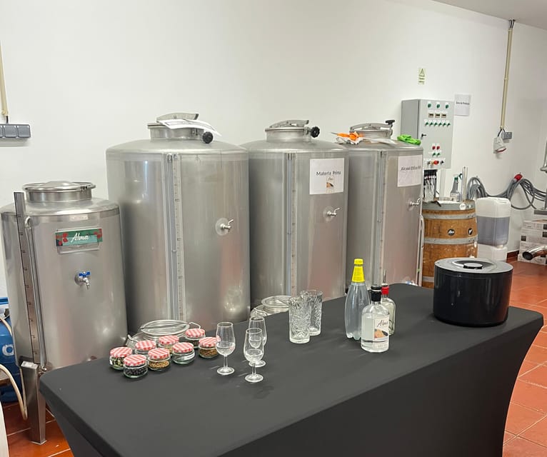 Lagos: Guided Gin Distillery Tour With Tasting at Alma Luz - Key highlights you should care about