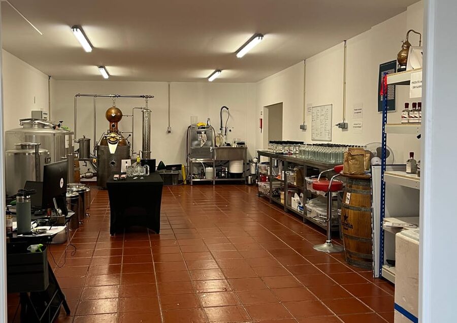 Lagos: Guided Gin Distillery Tour With Tasting at Alma Luz - Gin tasting in Lagos: learning how to actually taste