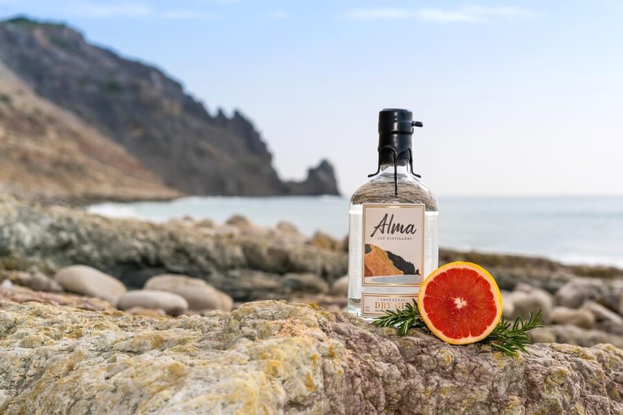 Lagos: Guided Gin Distillery Tour With Tasting at Alma Luz - What happens during the 1 hour guided gin tour
