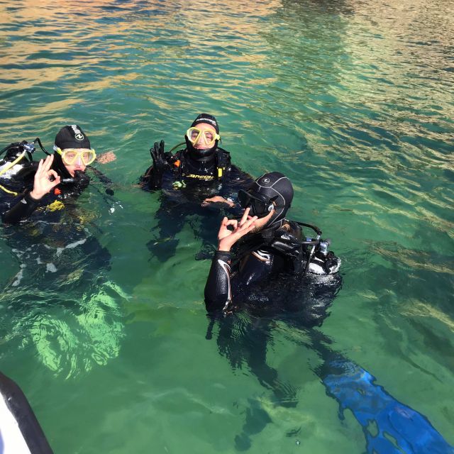 Lagos: Guided Scuba Diving Trip for Beginners - Price and value: is $135 worth it?