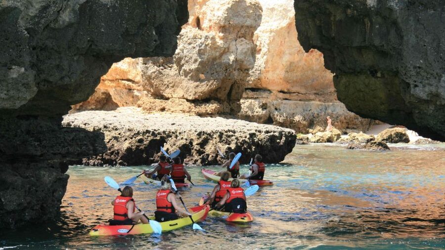 Lagos: Kayaking Tour - Should You Book This Lagos: Kayaking Tour?