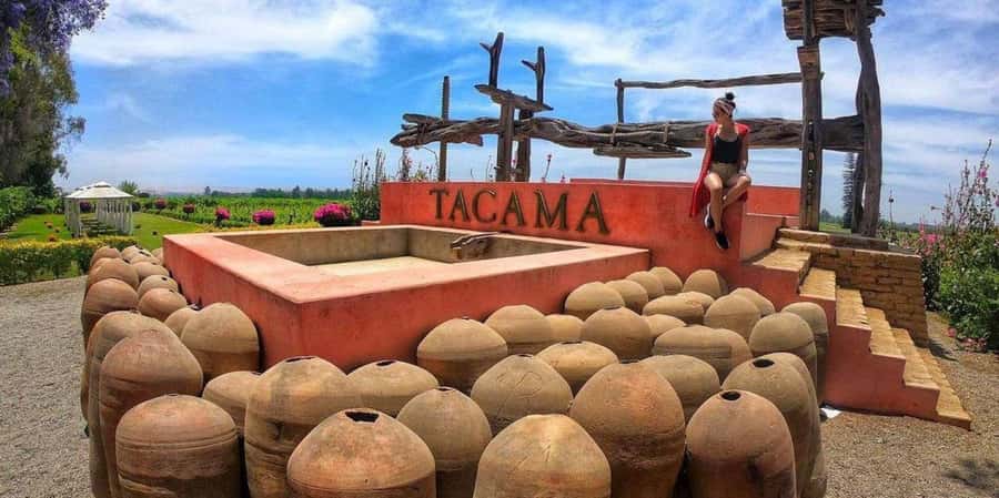 Lagos/Praia da Luz: Wine Tour, Tastings, Tapas, and Music - The Four-Wine Tasting and Tapas Pairings That Actually Matter