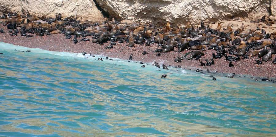 Lagos/Praia da Luz: Wine Tour, Tastings, Tapas, and Music - Live Portuguese Music During Your Wines