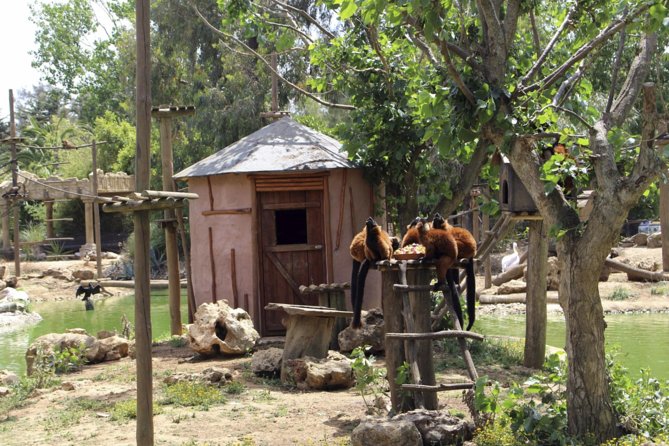 Lagos Zoo Admission Ticket - Getting Oriented Inside Parque Zoológico de Lagos