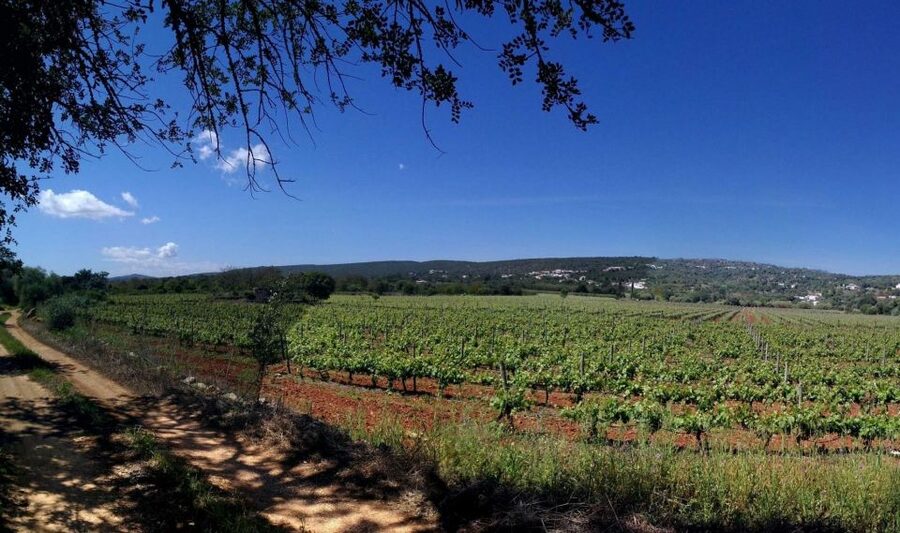 Loulé: Quinta da Tôr Winery Guided Tour and Wine Tasting - Quinta da Tôr in Loulé: why this winery tour works in the Algarve
