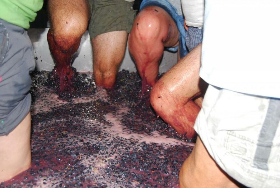 Loulé: Quinta da Tôr Winery Guided Tour and Wine Tasting - The tasting experience: 4 wines and a style choice that feels smart