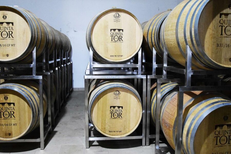 Loulé: Quinta da Tôr Winery Guided Tour and Wine Tasting - The infinity pool: the Algarve vacation bonus you should plan for