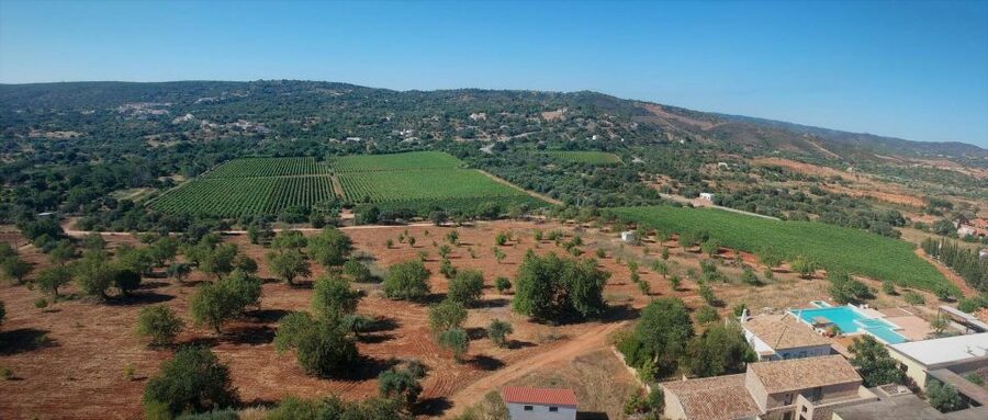 Loulé: Quinta da Tôr Winery Guided Tour and Wine Tasting - Price and value: why $21 feels fair for what you get