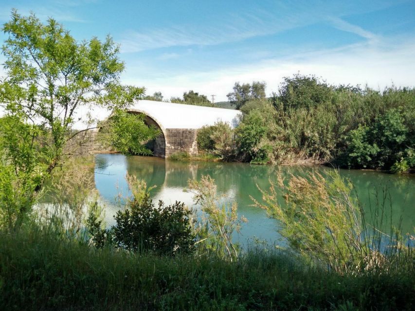 Loulé: Quinta da Tôr Winery Guided Tour and Wine Tasting - Getting there from the Algarve: practical notes that save time