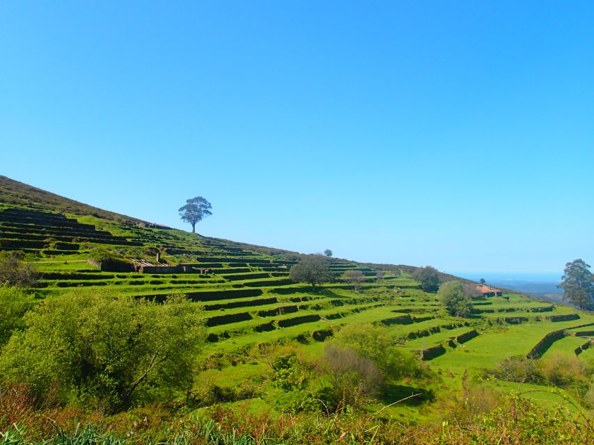 Monchique and Fóia: Half Day Tour - Key Things You’ll Notice on This Half-Day Tour